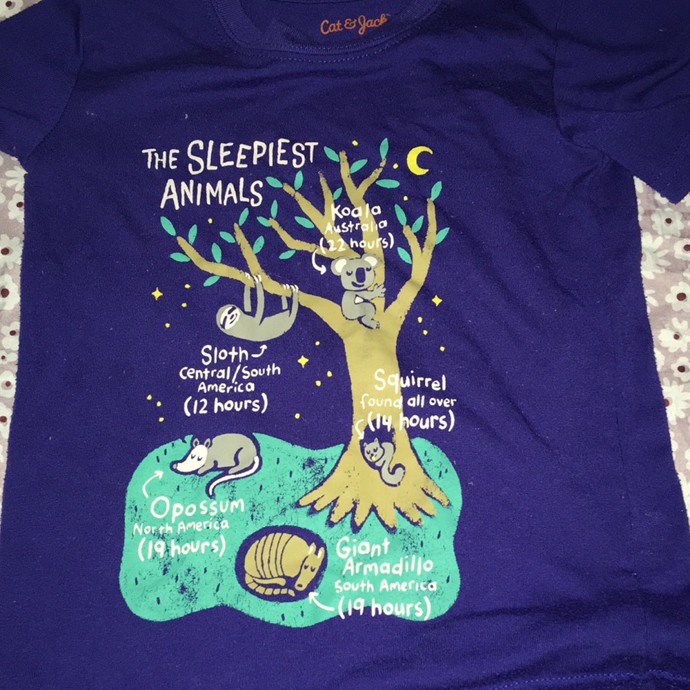 💥Price Drop Girls 4t Pajama Bundle Disney Cat&Jack - Picture 4 of 4